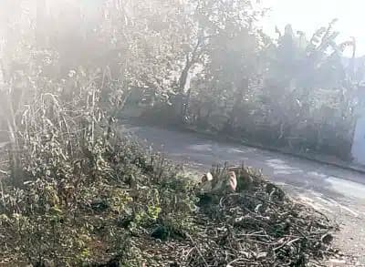 Imagem do post de destaque