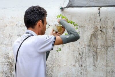 Imagem do post de destaque