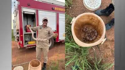 Imagem card com fundo