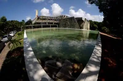 Imagem card com fundo