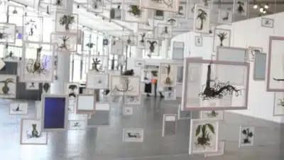 Imagem card com fundo