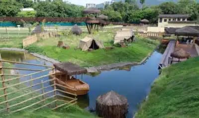 Imagem card com fundo