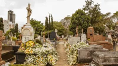 Imagem card com fundo