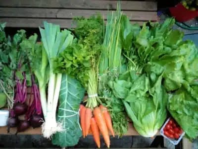 Imagem do post de destaque