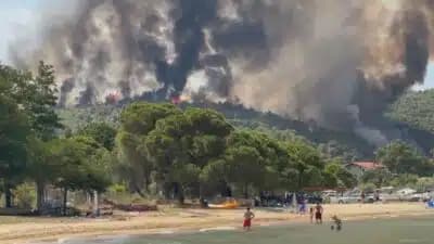 Imagem card com fundo