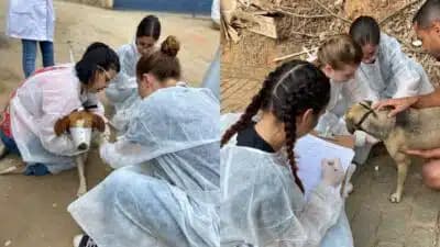 Imagem card com fundo