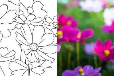 Imagem card com fundo