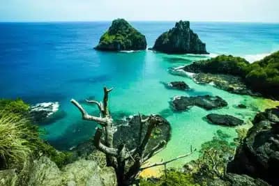 Imagem card com fundo