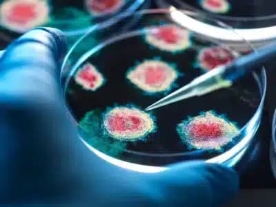 Imagem card com fundo