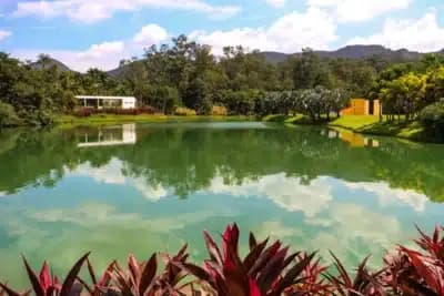 Imagem card com fundo