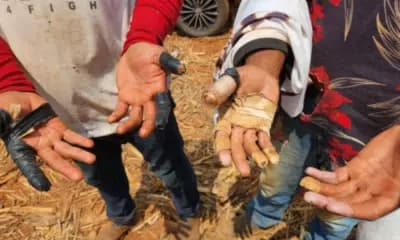 Imagem card com fundo