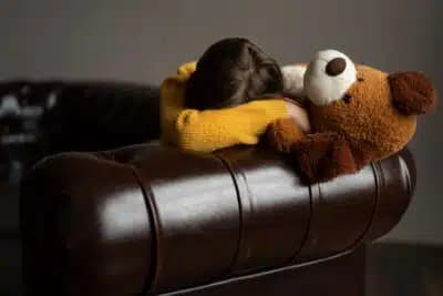 Imagem do post de destaque