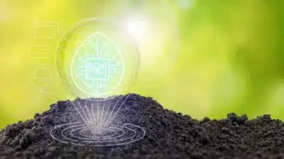 Imagem card com fundo