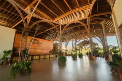 Imagem card com fundo