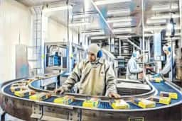 Marfrig/BRF caem após venda da Salic; o que o mercado não viu?